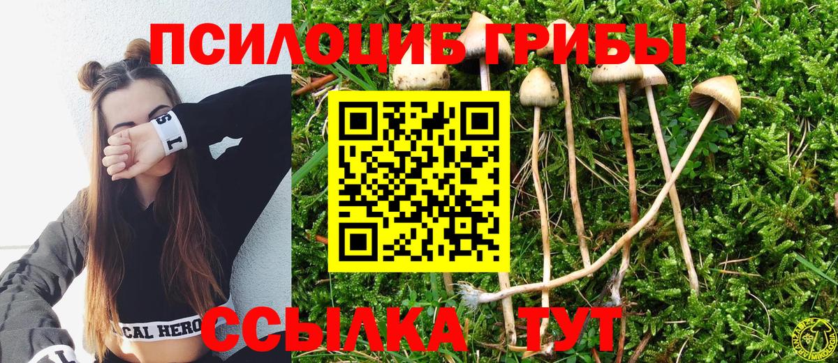 Галлюциногенные грибы Psilocybine cubensis  Вход с VPN  где можно купить наркотик  Томск 
