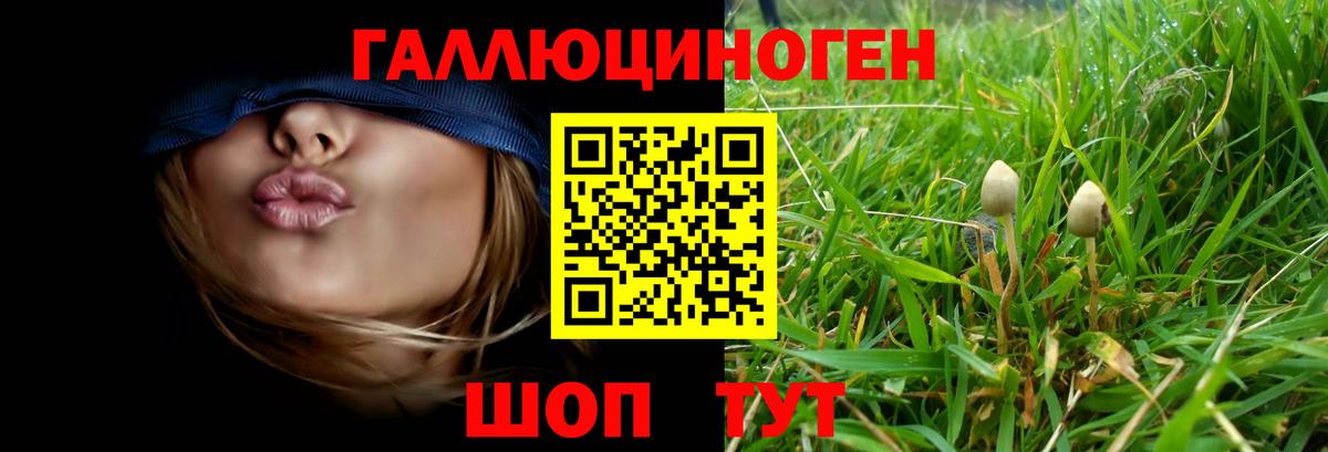 Галлюциногенные грибы MAGIC MUSHROOMS Томск